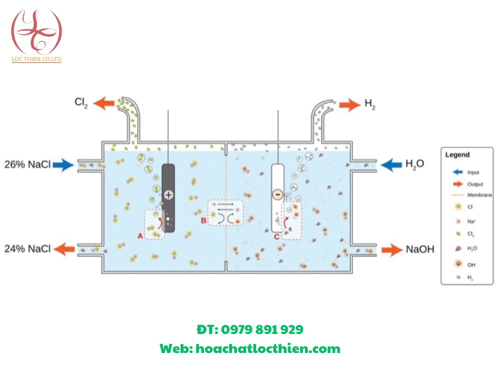 hoachatlocthien NaOH