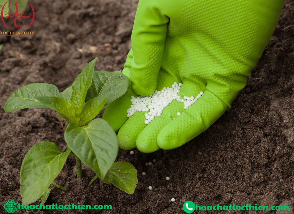 Những gì bạn cần biết về axit nitric