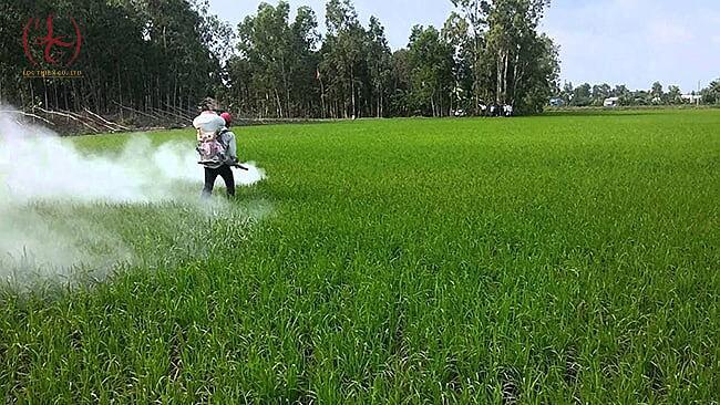 Vôi bột ứng dụng trong nông nghiệp