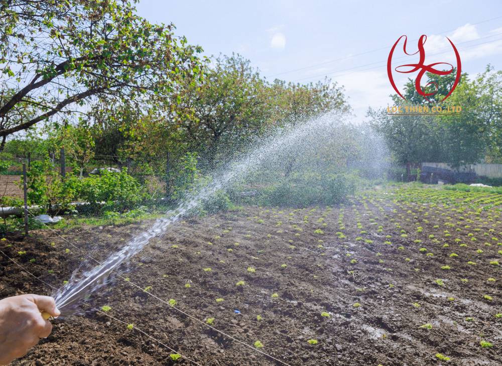 H2SO4 trong sản xuất phân bón