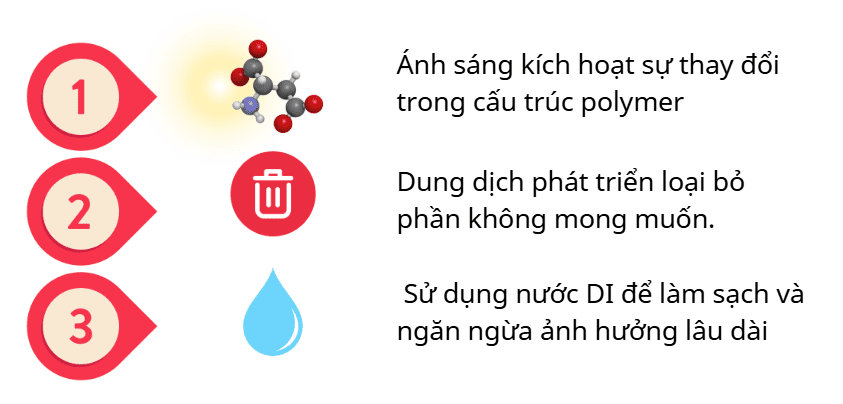 Các bước chính trong cơ chế hoạt động của dung dịch