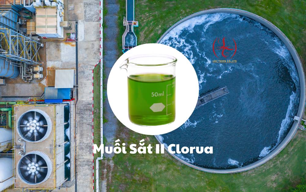 muoi-sat-2-clorua-loc-thien